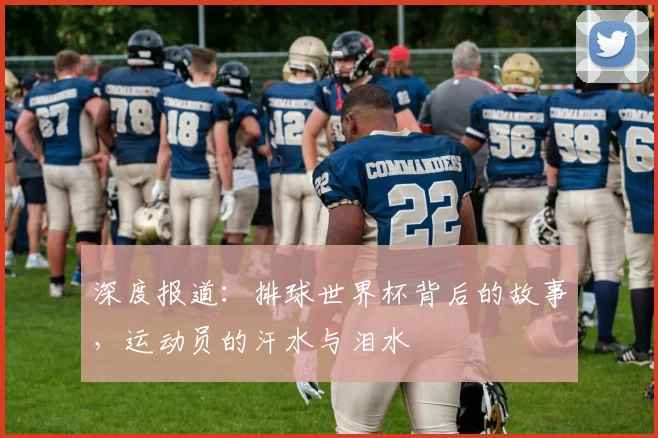深度报道：排球世界杯背后的故事，运动员的汗水与泪水