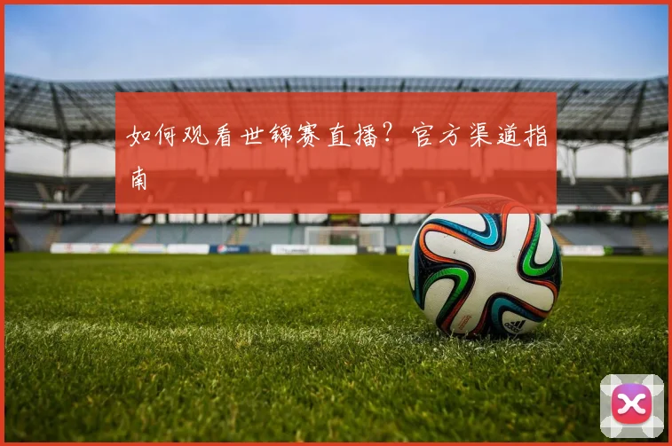 如何观看世锦赛直播？官方渠道指南