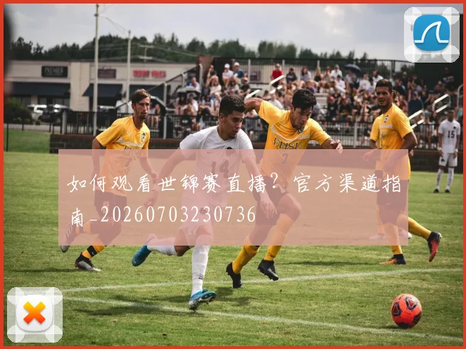 如何观看世锦赛直播?官方渠道指南_20260703230736